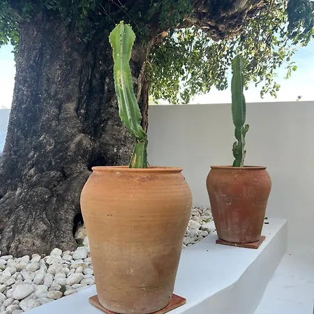 Lalola villas - Casa privada Denia-2